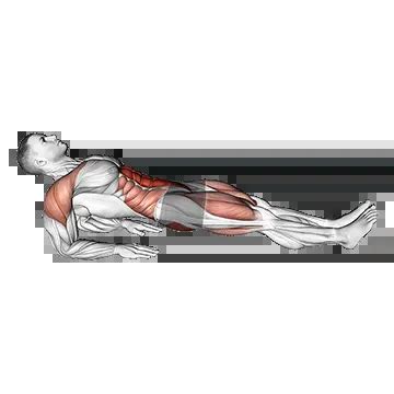 Reverse Plank on Elbows - Guide, Benefits, and Form