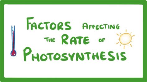 What Is The Effect Of Limiting Factors On Photosynthesis? Top 10 Best ...