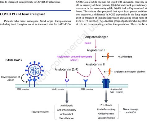 Pictographic representation showing the role of ACE inhibitors and ARBs ...