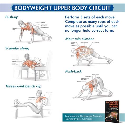 Bodyweight Upper Body Circuit – Human Kinetics Canada