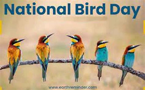 The National Day for our Winged Friends | Pothashang News