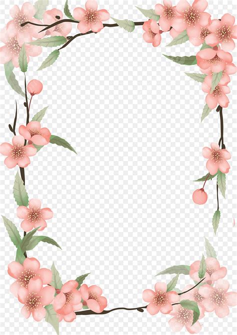 Pink Cherry Blossoms Hd Transparent, Pink Cherry Blossom Border, Plant Flowers, Pink Cherry ...