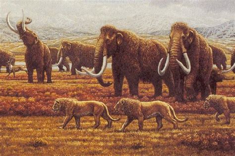 Pleistocene megafauna