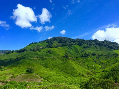 Landscape Photography of Green Hill Under Blue Sky and White Clouds during Daytime · Free Stock ...