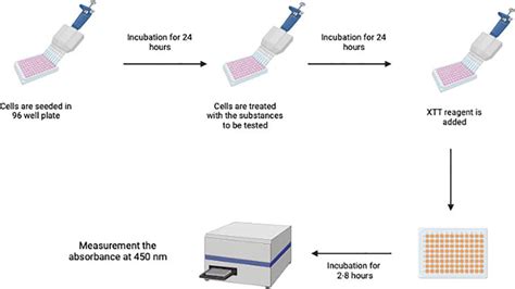 Colorimetric Cytotoxicity Assays | IntechOpen