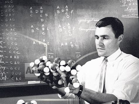 Professor Carl Woese: Scientist whose work revealed the 'third domain ...