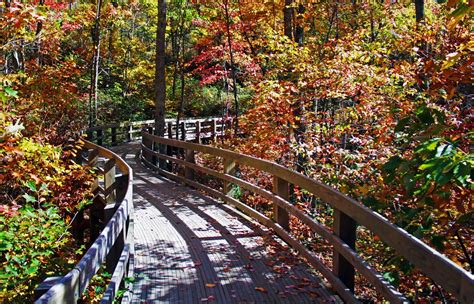 10 STUNNING Places For Fall Foliage In The Shenandoah Valley