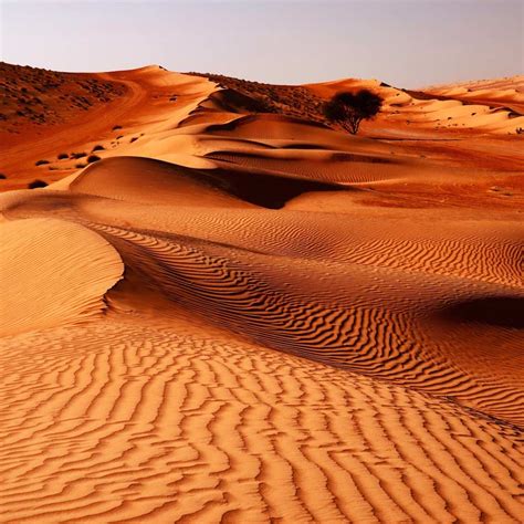 Wahiba Sands, Oman | Vacaay