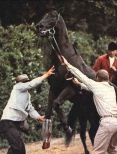 Dr Gillman and Frank Calvarese working on Ruffian with outrider Jim Daly in background All The ...