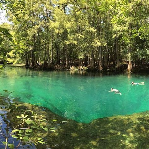 Things to do in Manatee Springs – Springs in Florida