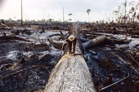 O que diz a imprensa internacional sobre as queimadas na Amazônia | Exame