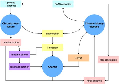 Figure 2 from Role of Iron Deficiency in Heart Failure—Clinical and ...