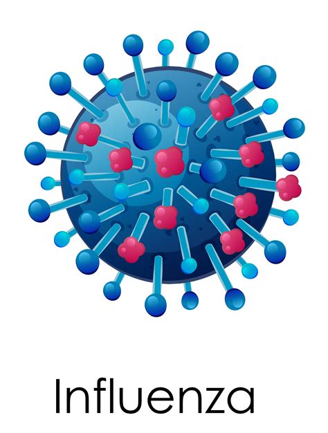 Influenza Virus Diagram For Kids