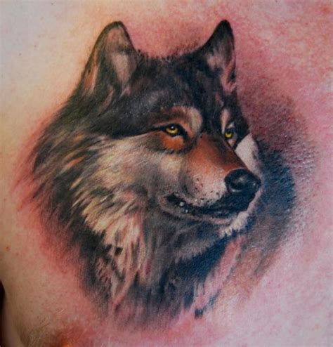 Portrait of wolf - Tattooimages.biz