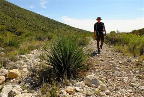 Try These Carlsbad Caverns National Park Desert Hiking Trails