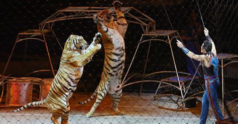 Ringling Bros. Circus Is Relaunching Without Animals