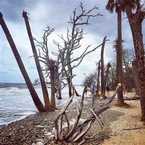 Botany Bay / Edisto Island