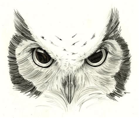 Owl Sketch by Hummingbird26 | Owl tattoo design, Owl tattoo drawings, Owl sketch