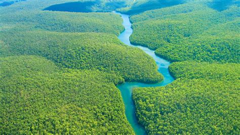 The Amazon - Amazon Rainforest in Brazil