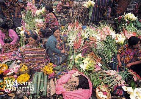 Expo 2016 Antalya BLOG: Market Flower of the World #9 - Guatemala