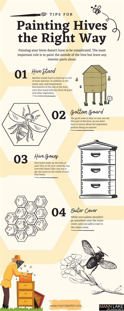 Tips For Painting Hives The Right Way | Honey bee farming, Painted bee hives, Bee hives boxes