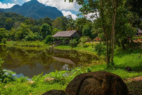 Traditional Wooden House Near The Lake And Mountain In The Background. Kuching To Sarawak ...