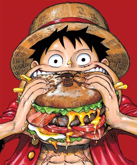 Monkey D. Luffy: The Future King Of The Pirates! | Anime Amino