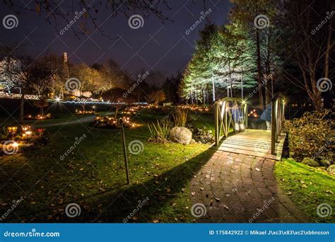 Graveyard at Night in Halloweenï¿¼ Stock Photo - Image of blooming ...