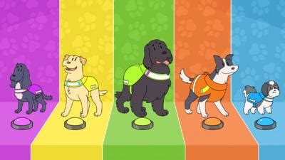 Dog Squad - CBeebies - BBC