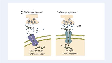 Structure and function of the GABAA receptor - YouTube