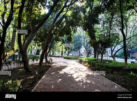 Parque Mexico, Colonia Condesa, CDMX, Mexico, city Stock Photo - Alamy