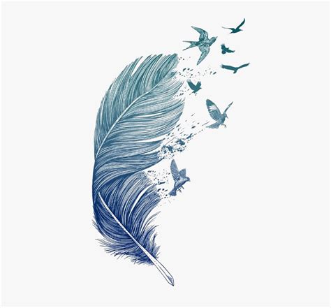 Transparent Feather Clipart - Feather Birds Clipart, HD Png Download ...