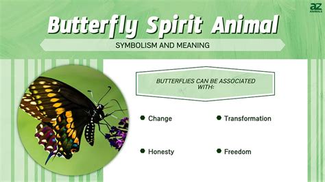 Butterfly Meaning Symbolism The Butterfly Spirit Animal, 49% OFF