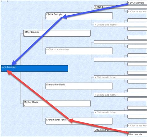 Ancestor Mapping | DNAeXplained – Genetic Genealogy