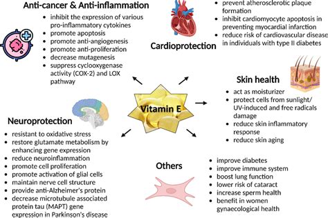 Main benefits of vitamin E (created with www.BioRender.com) | Download ...