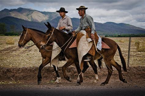 Gauchos of Argentina Photograph by Paul Kerton - Fine Art America