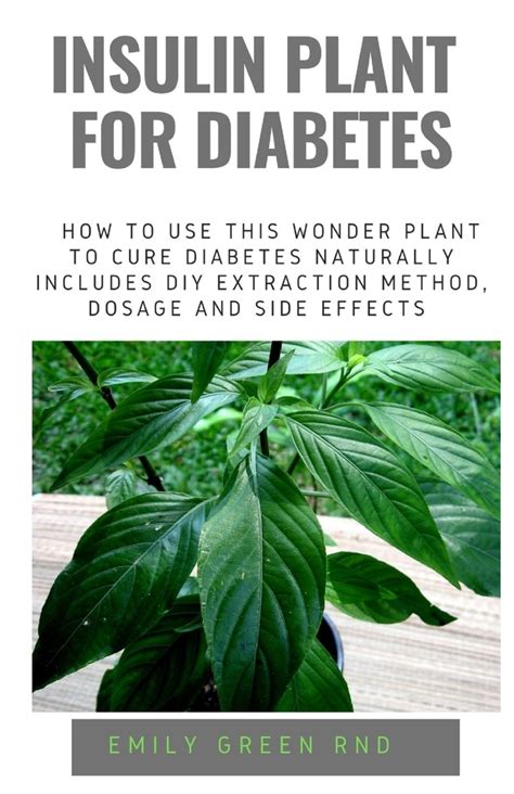 Insulin Plant for Diabetes: How to use this wonder plant to cure diabetes naturally includes DIY ...