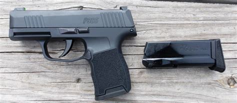 Springfield Armory Hellcat vs. SIG Sauer P365 | Firearm License