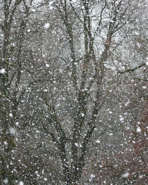 Snow Photography / Winter Photograph / Printable Photo Digital Download ...