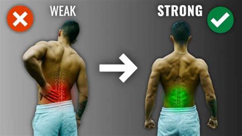 Lower Back Gym Exercises