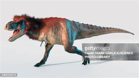 29 Tyrannosaurus Rex Feathers Stock Photos, High-Res Pictures, and ...