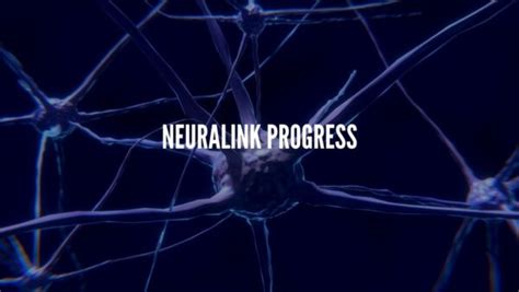 Neuralink Progress Update Summer 2020 | The Tech Infinite