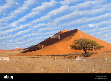 Sand dunes in the Namib desert Stock Photo - Alamy