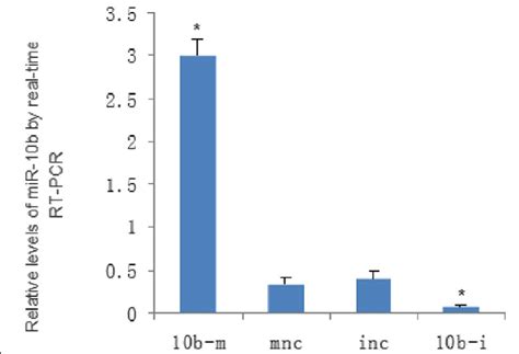 Detection of transient transfection efficiency. We transfected... | Download Scientific Diagram