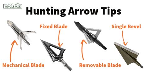 How To Choose The Right Type Of Arrow Tips [Hunting & Practice ...