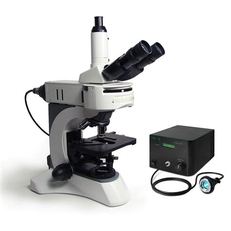 Upright Fluorescence Microscope | Polysciences, Inc.