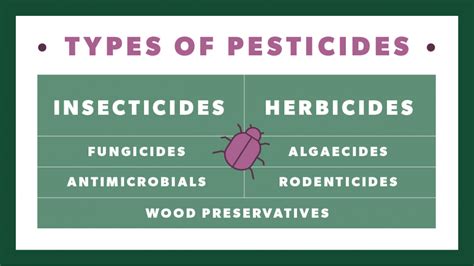 An Ultimate Guide to Pesticides | Pure Greens Container Farms