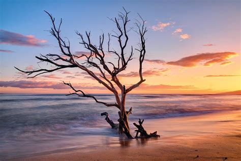 Dreamcatcher Bamboo Landscape, Ocean Landscape, Landscape Photos, Peter ...