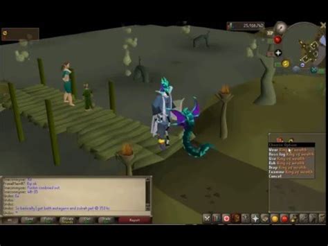 Zulrah pet and both mutagens @ 353 kc! - YouTube