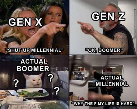 Gen x vs gen z vs boomers meme on – Artofit